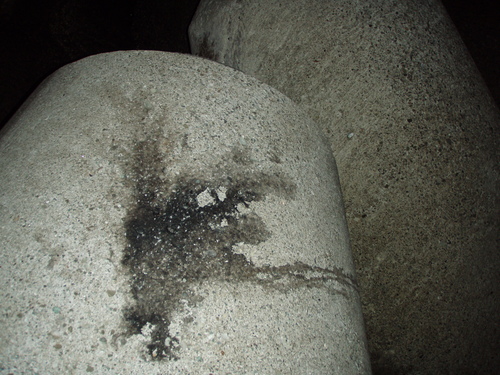 b0121015_14172799.jpg