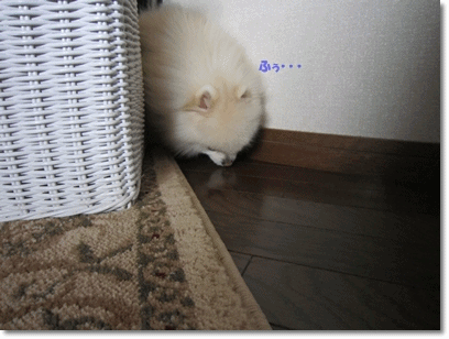 b0167519_9251234.gif