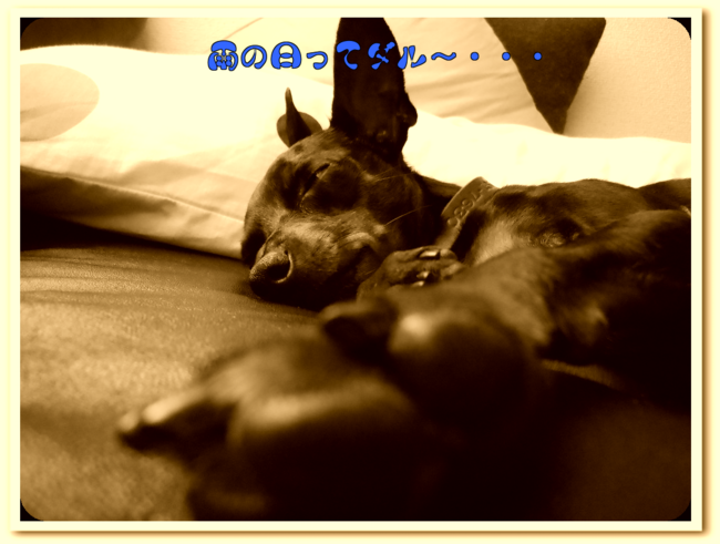 e0208623_0383667.png