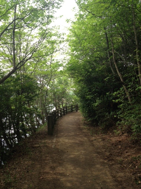 f0215324_0252836.jpg