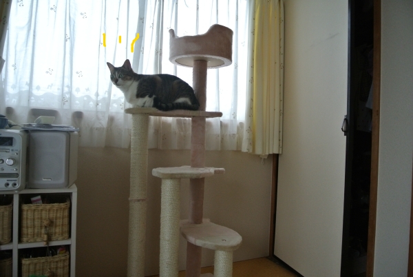 a0099131_11501.jpg