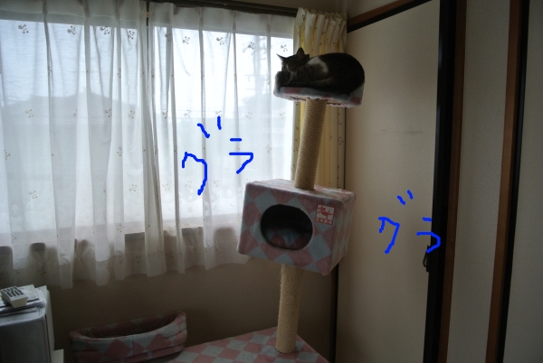 a0099131_11727.jpg