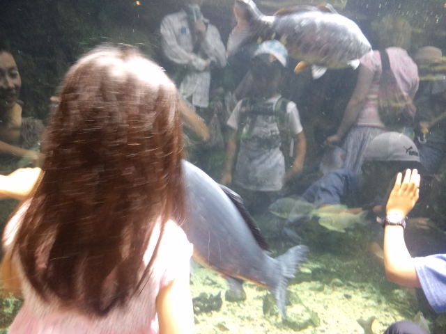c0150438_63619.jpg