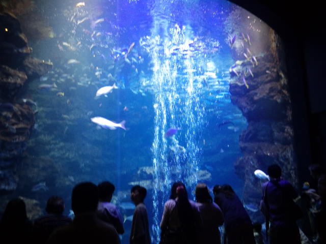 c0150438_63626.jpg