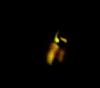 f0234053_1451274.jpg