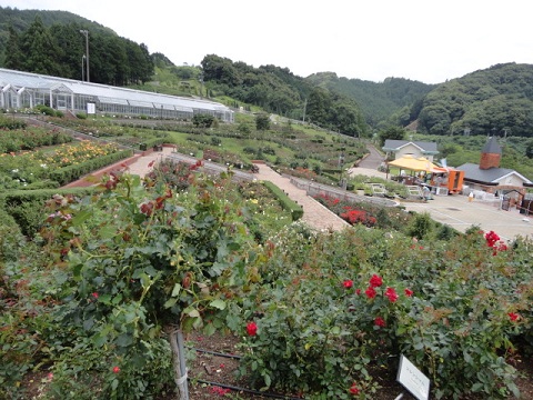 f0046854_22314316.jpg