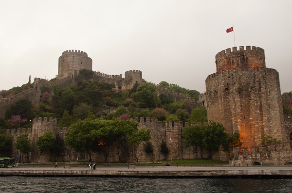 d0081357_16501174.jpg