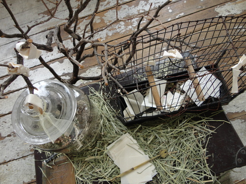 66展のその後・・_d0162257_11184171.jpg