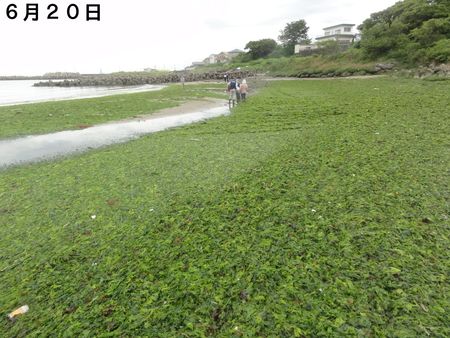 c0108460_20264912.jpg