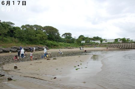 c0108460_2026524.jpg