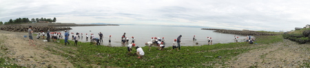 c0108460_2038787.jpg