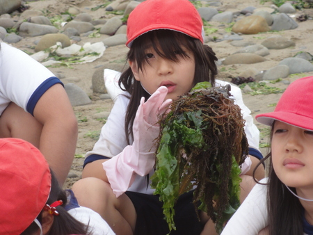 c0108460_2041389.jpg