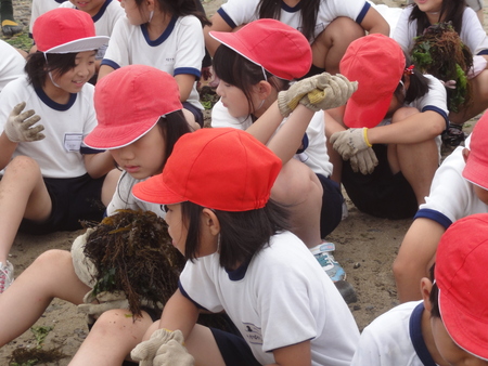 c0108460_20415618.jpg