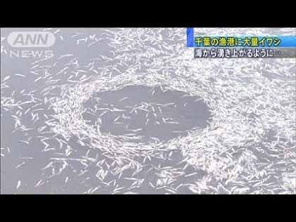 続いて622 + ガレキの謀略_c0139575_21553467.jpg