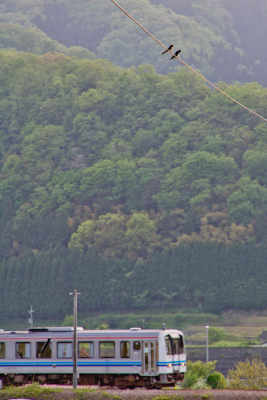f0136878_22141985.jpg