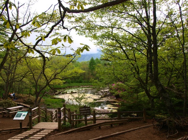 奥日光7　　戦場ヶ原　　泉門池　　男体山　　ズミの花_a0085679_1018119.jpg