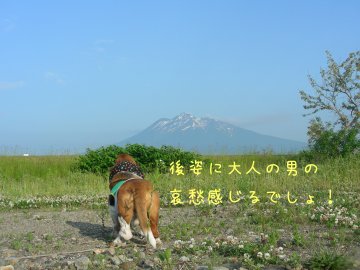 f0205887_91481.jpg