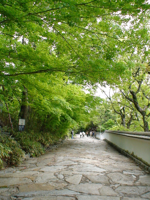 d0087503_1736142.jpg