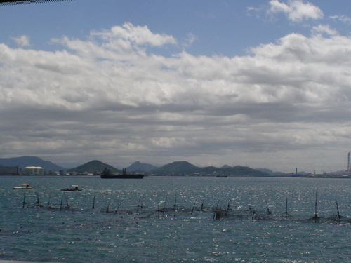 d0087503_17365861.jpg