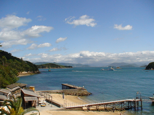 d0087503_1738301.jpg