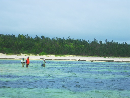 e0123808_044782.jpg