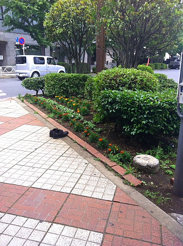 雨の中でひと休み - 2012年梅雨・上越線 -_b0190710_232853.jpg