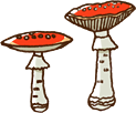 c0017311_749945.gif