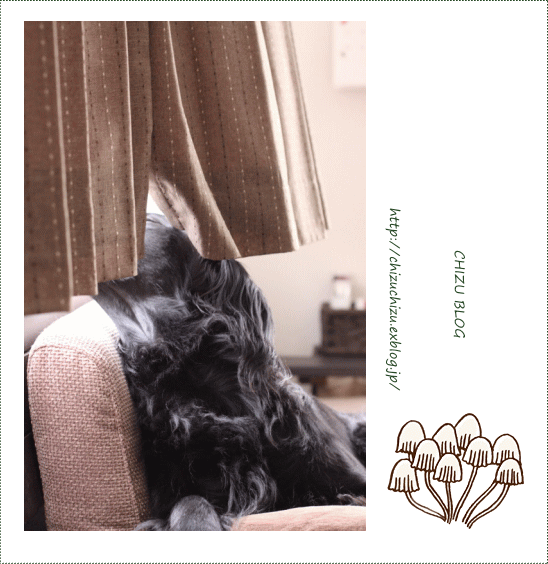 c0017311_7583752.gif