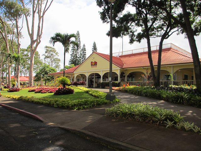 d0224712_9154732.jpg