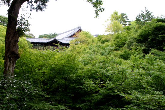 東福寺を歩く1_e0048413_2224252.jpg