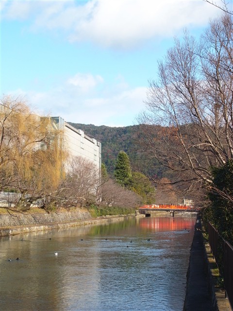 ダラッとお願いします!_c0116714_20135070.jpg