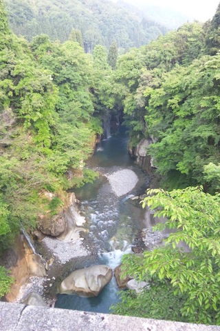 f0062414_1774160.jpg