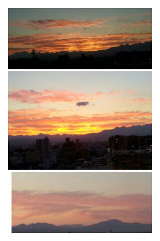 きれいな夕陽_d0049817_8585861.jpg