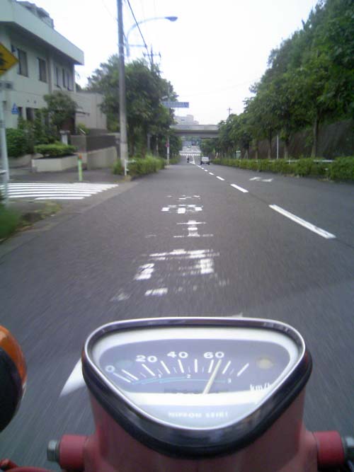 c0083518_8472696.jpg