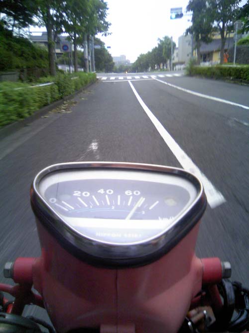 c0083518_848528.jpg