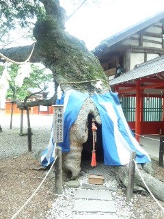 生島足島神社レポート♪_e0057018_2355415.jpg
