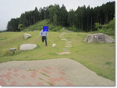 b0167519_9313229.gif