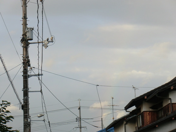 b0163121_21214974.jpg