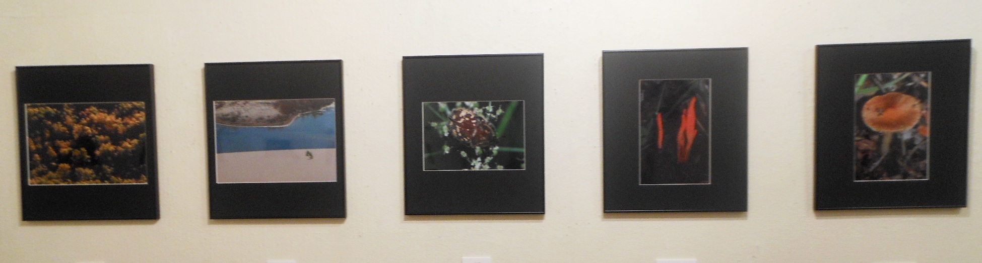 1797)「写真展|集合的無意識　えぞ梅雨の夢 (QUATRE SAISONS)」 たぴお 6月18日(日)~6月30日(土）  _f0126829_9251129.jpg