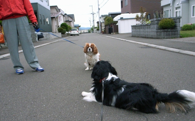 今日の会話_c0051132_20444315.jpg