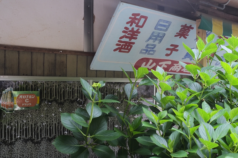 正しい日本の田舎風景　四国_f0050534_8144626.jpg