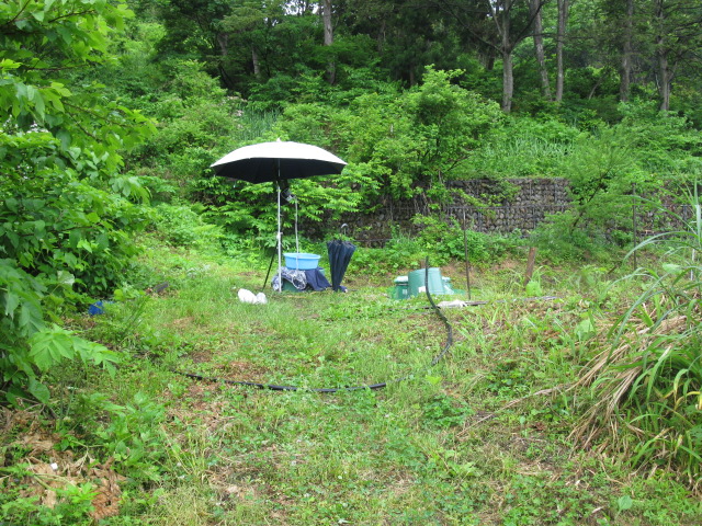 f0214235_18105243.jpg