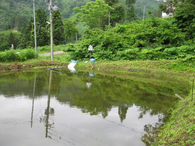 f0214235_18201211.jpg