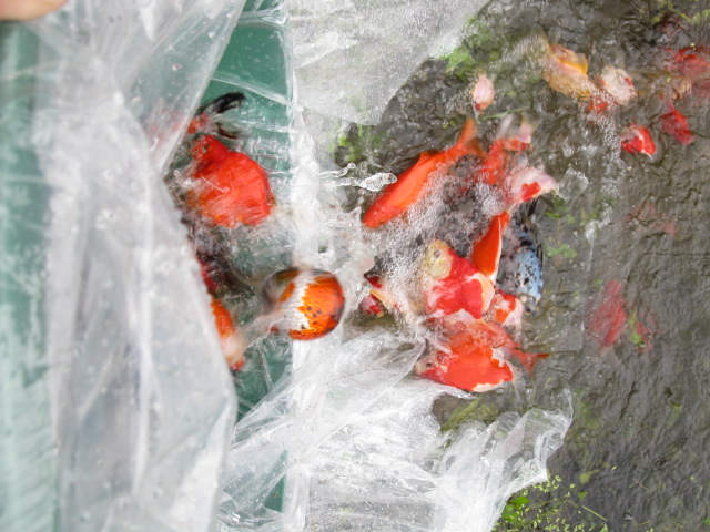 f0214235_18284813.jpg