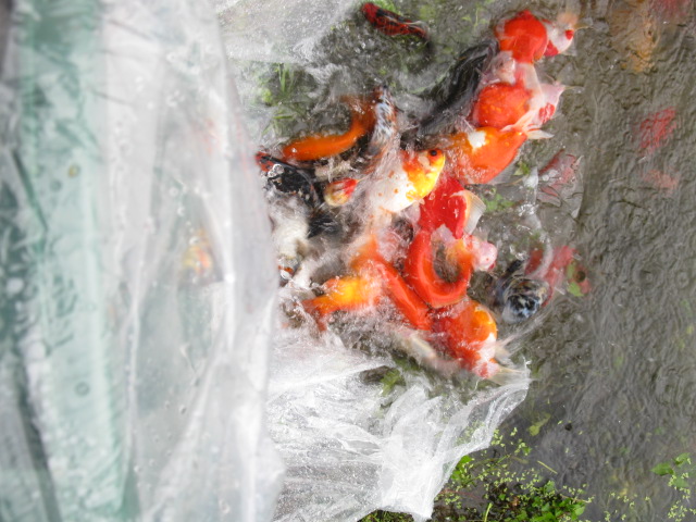 f0214235_18292060.jpg