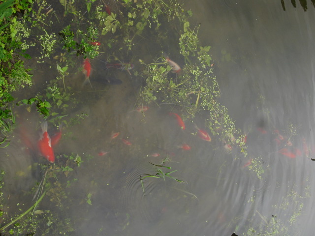 f0214235_18383011.jpg