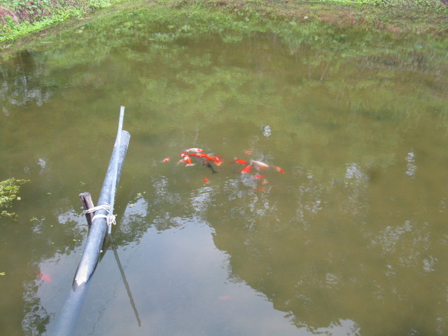 f0214235_184252.jpg