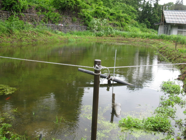f0214235_2347558.jpg