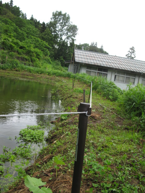 f0214235_23512613.jpg