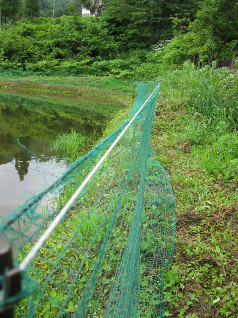 f0214235_23532230.jpg